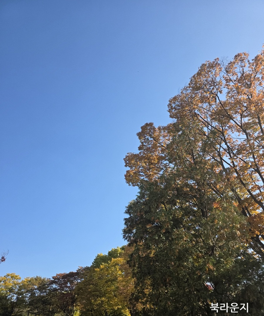 2167e995507d8065bcd9d7935ff02fdf.jpg